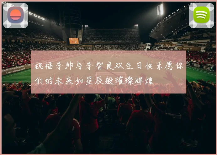 祝福李帅与李智良双生日快乐愿你们的未来如星辰般璀璨辉煌